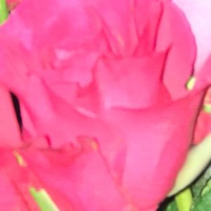 Meet your Posher, Chill